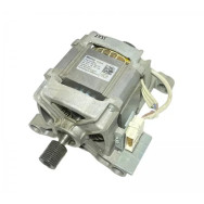 Motor Welling 160031876.00